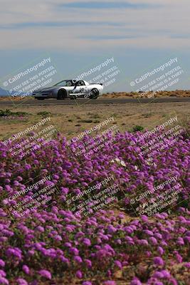 media/Jan-08-2023-SCCA SD (Sun) [[8f6a5b9391]]/Intermediate Group/Session 2 (Short Straight)/